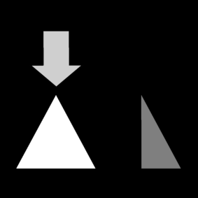 whole / complete